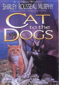 Cat to the Dogs