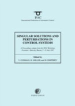 Singular Solutions and Perturbations in Control Systems