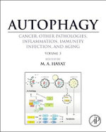 Autophagy: Cancer, Other Pathologies, Inflammation, Immunity, Infection, and Aging