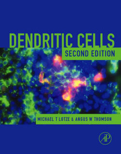Dendritic Cells