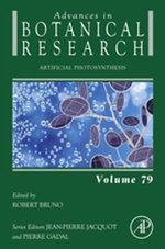 Artificial Photosynthesis