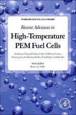 Recent Advances in High Temperature PEM Fuel Cells