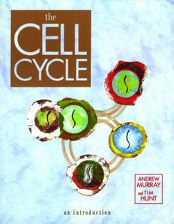 The Cell Cycle