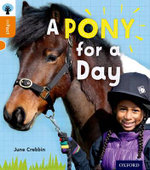 A Pony for a Day