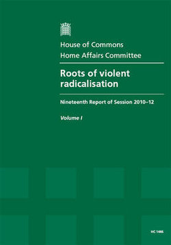 Roots of violent radicalisation