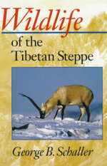 Wildlife of the Tibetan Steppe