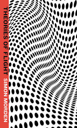 Theories of Flight