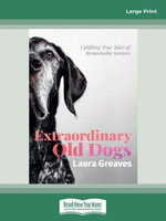 Extraordinary Old Dogs
