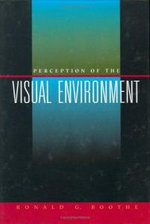 Perception of the Visual Environment