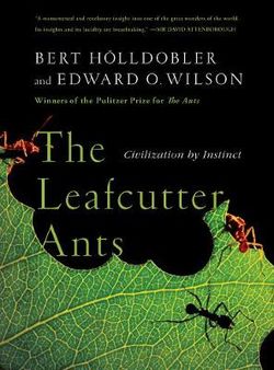 The Leafcutter Ants