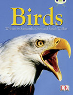 BC NF Grey B/4C Birds