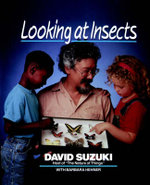 Looking at Insects