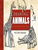 Drawing Animals