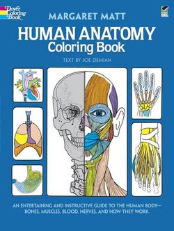 Human Anatomy Coloring Book 