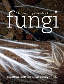 21st Century Guidebook to Fungi with CD-ROM