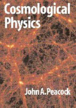 Cosmological Physics