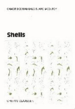 Shells