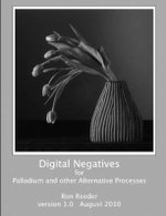Digital Negatives for palladium and other alternative Processes