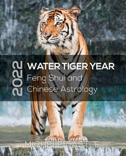 2022 Water Tiger Year