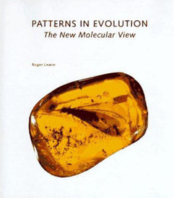 Patterns in Evolution