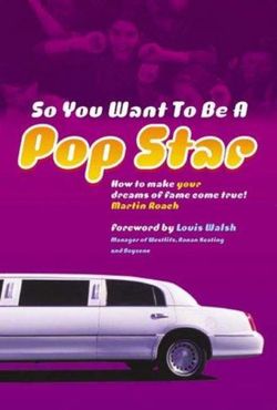 So You Want To Be A Popstar