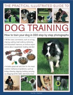 Practical Illustrated Guide to Dog Training