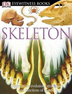 DK Eyewitness Books: Skeleton