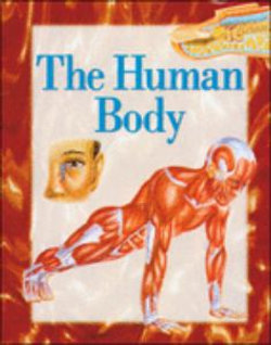 The Human Body