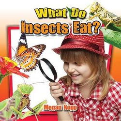 What Do Insects Eat? What Do Insects Eat?