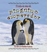 El Ciclo De Vida Del Pinguino Emperador