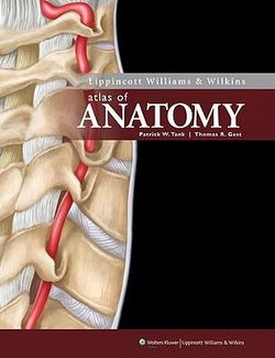 Lippincott Williams & Wilkins Atlas of Anatomy