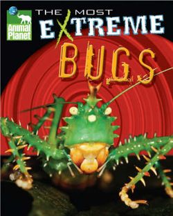 "Animal Planet" the Most Extreme Bugs