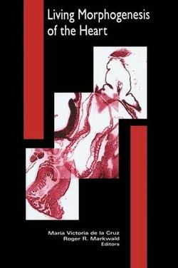 Living Morphogenesis of the Heart
