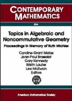 Topics in Algebraic and Noncommutative Geometry