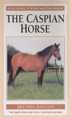 Caspian Horse