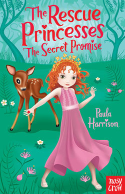 The Secret Promise : The Rescue Princesses 