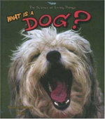 What Is a Dog