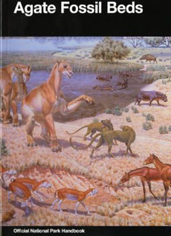 Agate Fossil Beds