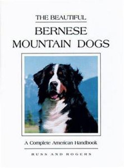 The Beautiful Bernese Mountain Dog