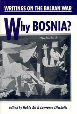 Why Bosnia?