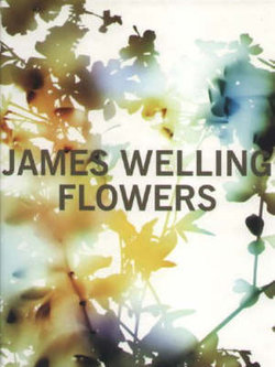 James Welling