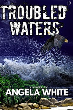 Troubled Waters