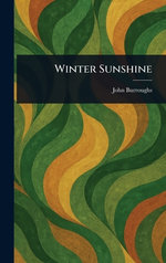 Winter Sunshine