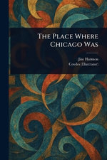 The Place Where Chicago Was