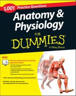 Anatomy and Physiology