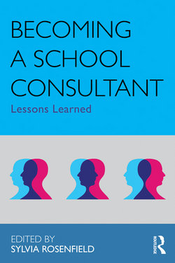 Becoming a School Consultant: Lessons Learned