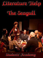Literature Help: The Seagull