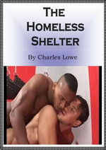 The Homeless Shelter