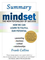 Mindset Summary