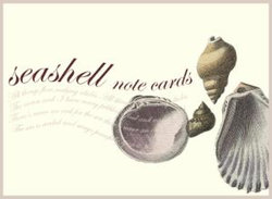 Seashell Small Note Cards